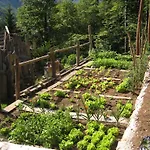Kraljev Hrib Kamniska Bistrica