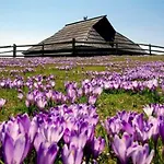 Kraljev Hrib Kamniska Bistrica