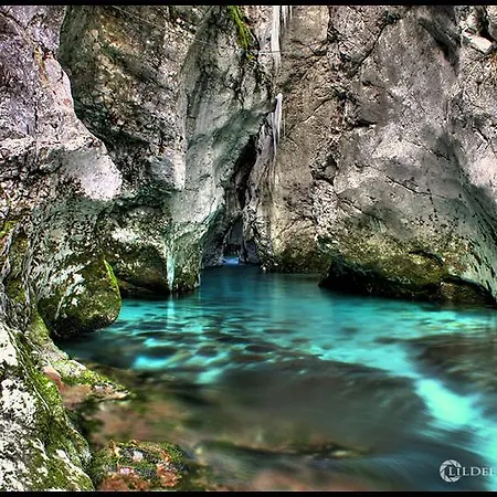Kraljev Hrib