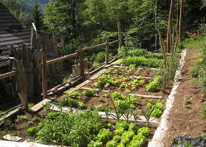 克拉列夫山旅馆 Kamniska Bistrica