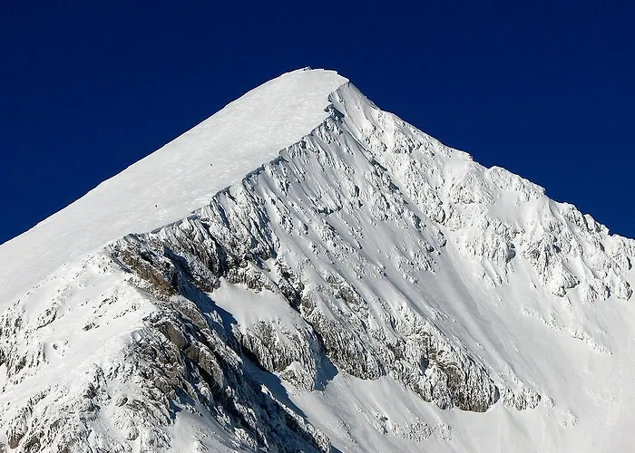 招待所 克拉列夫山旅馆