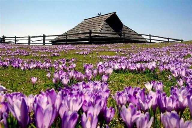 克拉列夫山旅馆 Kamniska Bistrica