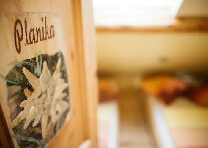 克拉列夫山旅馆 Kamniska Bistrica